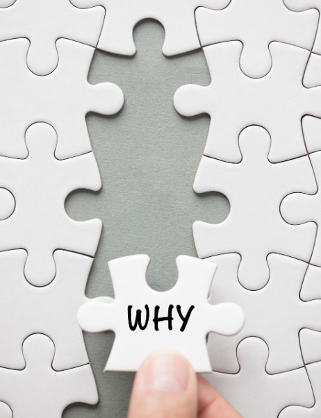 Why Choose Us